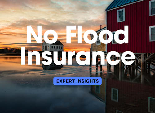 Life without Flood Insurance: Expert Tips