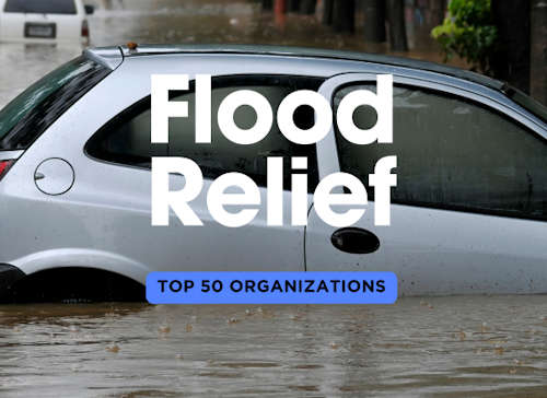 Flood Relief: Top 50 Government and Nonprofit Organizations