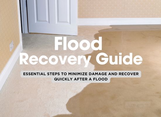 The First 24 Hours After a Flood: What to Do to Minimize Damage